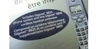 Siemens Gigaset 8825 2 lines phone system